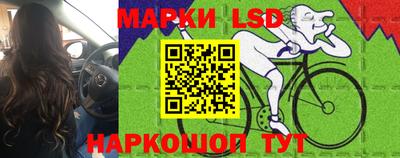 PSILOCYBIN Кунгур