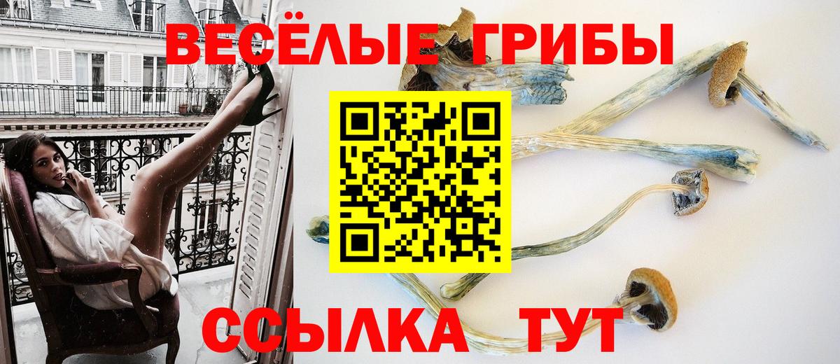 Псилоцибиновые грибы MAGIC MUSHROOMS  Вход с VPN  Галлюциногенные грибы Psilocybine cubensis  Донецк 